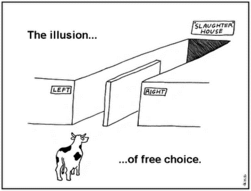 Illusion Of Choice