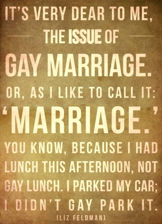 Gay Marriage Liz Feldman