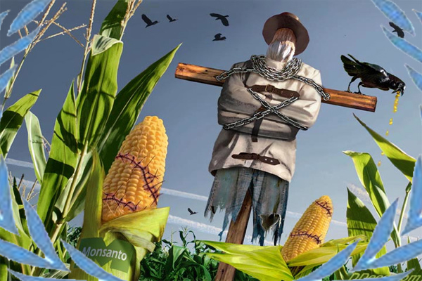 Monsanto