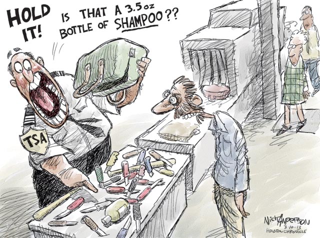 Nick Anderson TSA