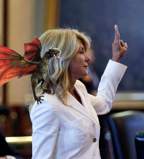 Wendy Davis Dragons